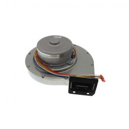 Lochinvar & A.O. Smith 100074606 Indoor Fan Motor