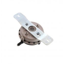 Lochinvar & A.O. Smith 100109935 Flue Switch