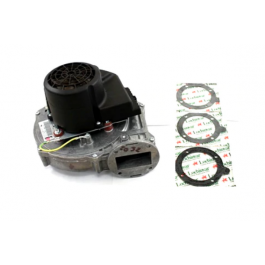 Lochinvar & A.O. Smith 100145005 Fan Assembly 120V