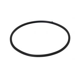 Lochinvar & A.O. Smith 100208093 Door Gasket