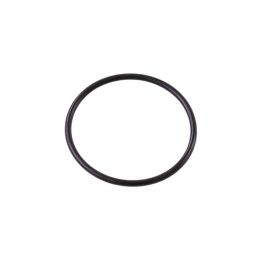 Lochinvar & A.O. Smith 100288880 O-Ring Small Gasket