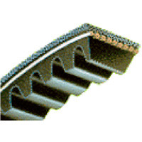62" BX V-Belt Type BX59 Notched Bestorq
