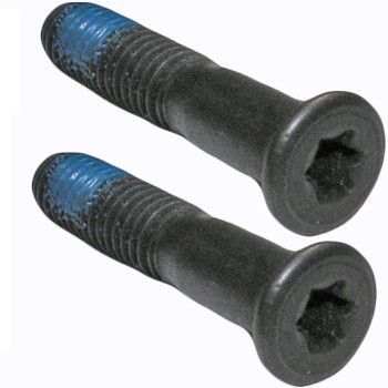 Bosch 2 Pack Of Genuine OEM Replacement Screws - 1619X01531-2PK