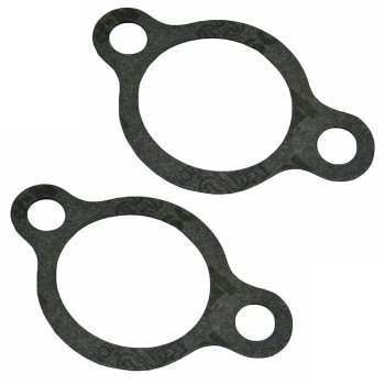 Homelite 2 Pack Of Genuine OEM Replacement Inlets 17002-Z100110-2PK