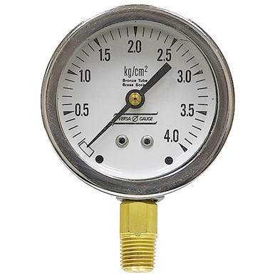 4 kg/cm² Pressure 2.5" Dia. Dry Lower Mount 1/4" NPT Steel Gauge Versa V2351YEF4