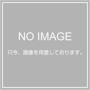 Ridgid 38697 Dies, R200 3/4 BSPT