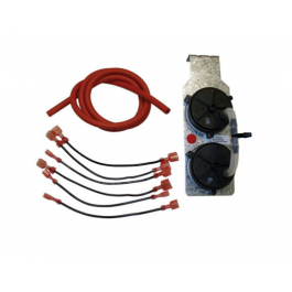 Rheem-Ruud 42-24166-86 Dual Pressure Switch