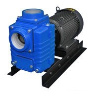 AMT 487395 4 in. Cast Iron Self-Priming Centrifugal Pump