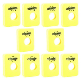 Briggs and Stratton 10 Pack 799579 Air Cleaner Foam Filter