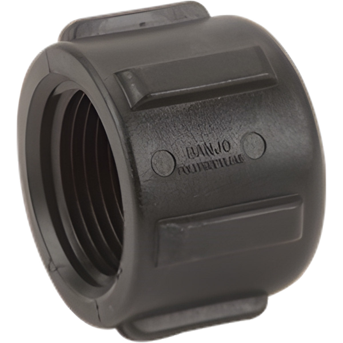 1 INCH FNPTPOLY CAP