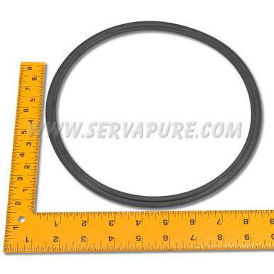Aquafine 002285-080, Sanitary Gasket, 8"