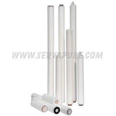 Harmsco Hyrdrophilic Polyethersulfone Membrane Cartridge, 0.04 Micron, 30 Inch Length