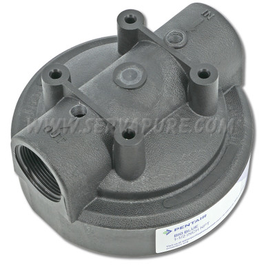 Pentek 154078-DT, 1-1/2'' In/Out, Black Cap Double 1/4'' Tap for Gauges for Big Blue Housing
