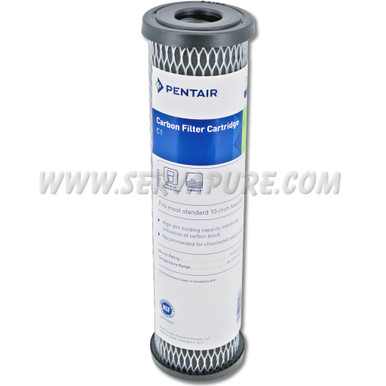 Pentek 155002, C1 Activated Carbon-Impregnated Cellulose, 10''