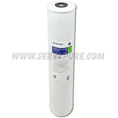 Pentek 155967-43, CRFC-20BB Chloramine Reduction Water Filter