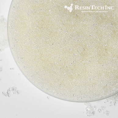 ResinTech SBG1P, Porous Strong Base Anion Exchange Resin, Cl Form, 1 Cubic Foot