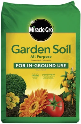 Lettuce Simpson Elite Seed - Premium Quality For Home Gardens