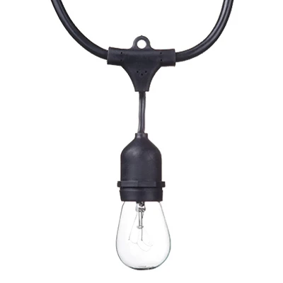 Dublin Incandescent String 12-Light Set, 24 Ft.