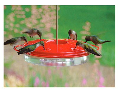 Classic Hummingbird Feeder, 12-oz.
