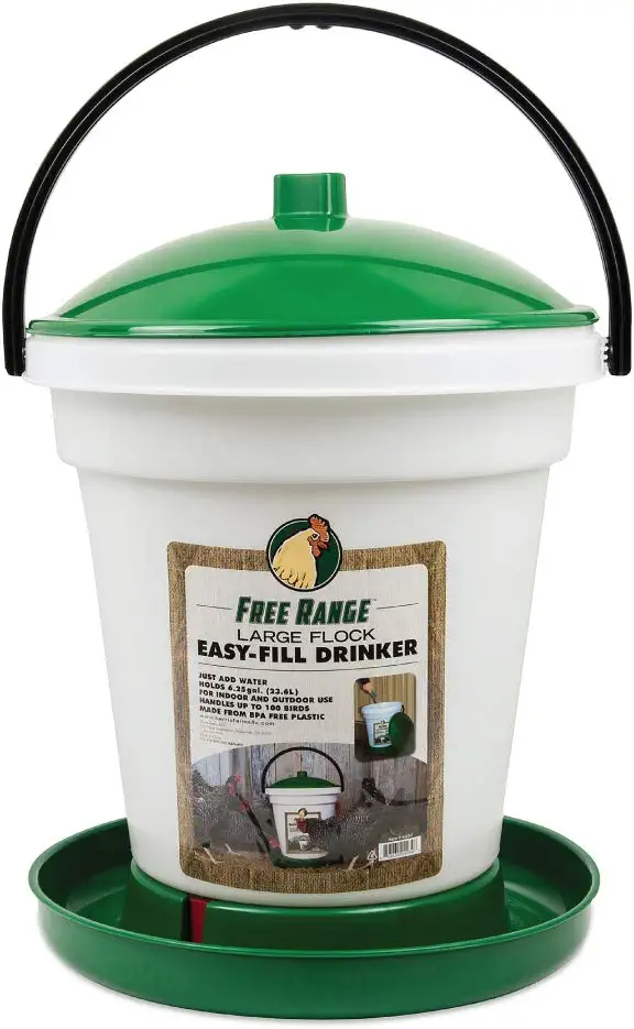 Poultry Drinker, Large Flock, 6.25 Gallon
