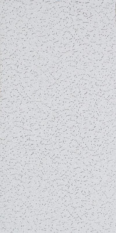 USG Ceilings Ceiling Tile (Common: 24-in x 48-in; Actual 24-in x 48-in)