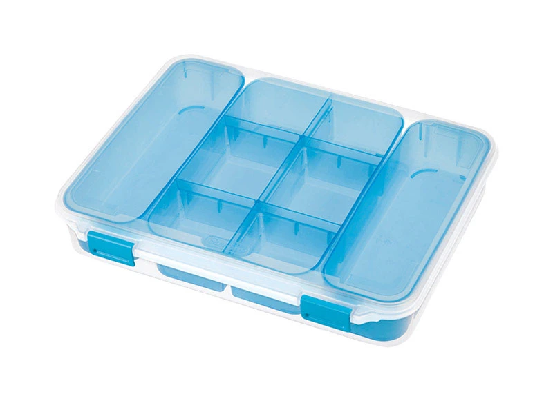 Divider Case, Clear/Turquoise