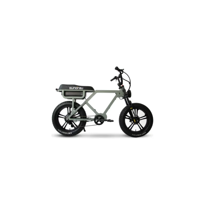 Eunorau Flash Electric Bike Moon Black