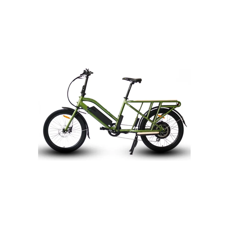Eunorau Max Cargo Electric Bike Green