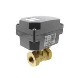 Johnson Controls F261KEH-V01C 1/2" Low Flow Switch 3R NEMA