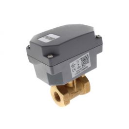 Johnson Controls F261MEH-V01C 1/2" Flow Switch NEMA-4