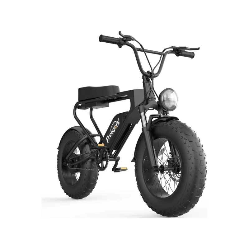 Freego DK200 Off Road Mountain Electric Bike 20” Fat tires 20Ah Lithium Battery