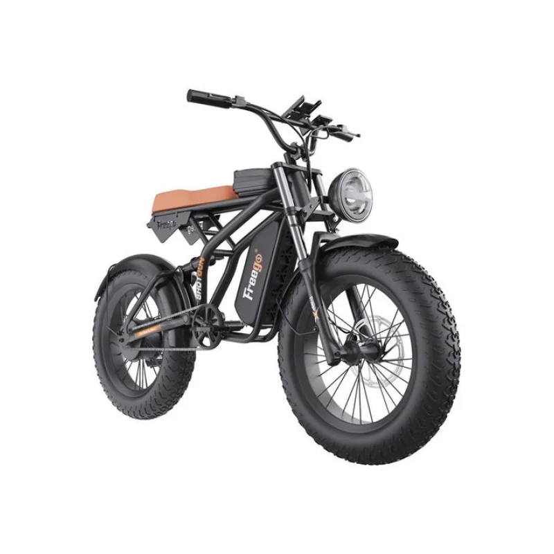 Freego F1 Fat Tires Off Road Black Electric Bike Removable Battery