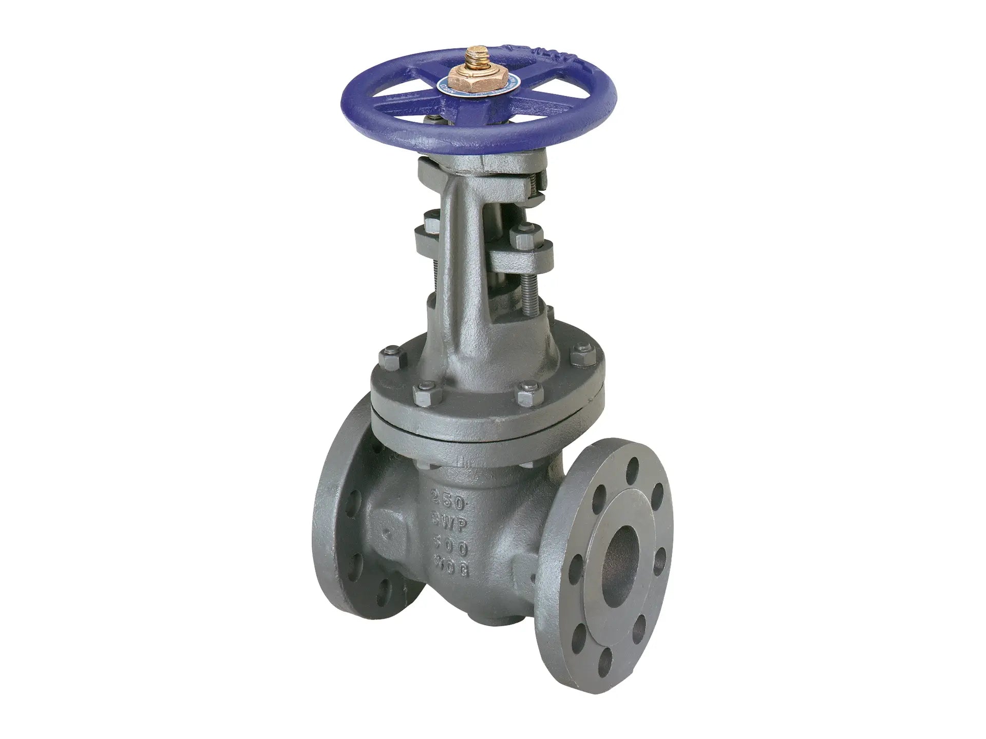 NIBCO NHAW08E, 2-1/2in. Gate Valve Class 250, Cast Iron, Outside Screw and Yoke, Flanged F-667-O-Z