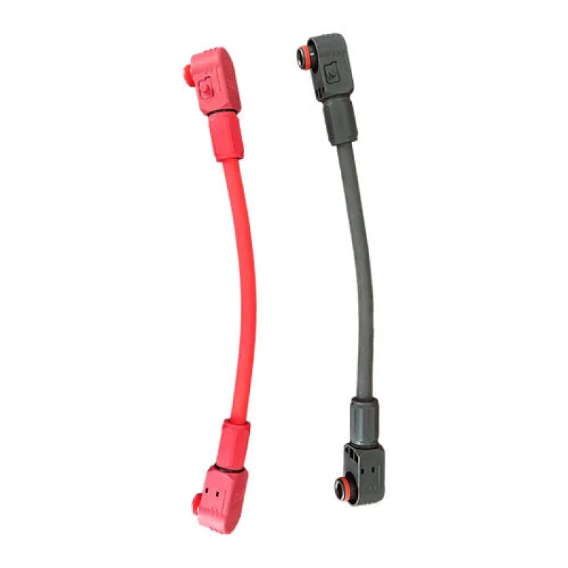 RUiXU 4AWG 250MM Pluggable Battery Pole Connector Both Ends